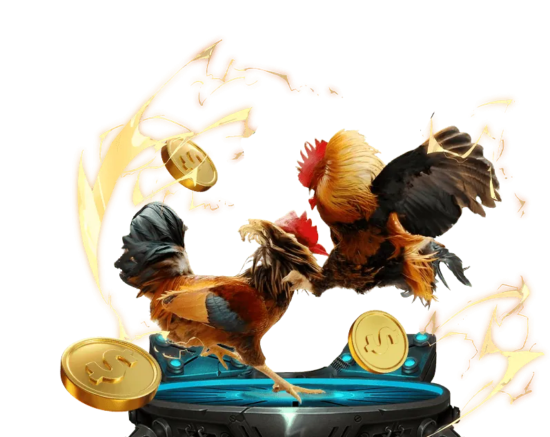 Đá gà Thomo trực tuyến đỉnh cao